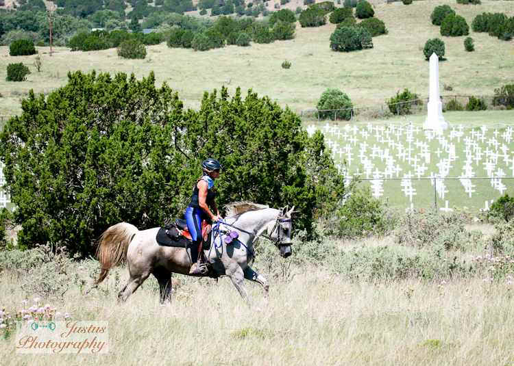 DuckgallopNC2011sm.jpg (102187 bytes)