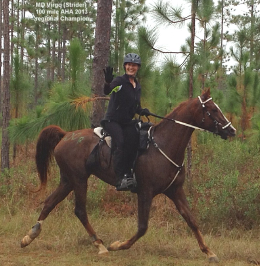 MDVirgo100champ.JPG (181871 bytes)